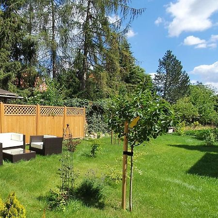 Pineapple Apartments Dresdner Heide Mit Garten Dresden Eksteriør billede